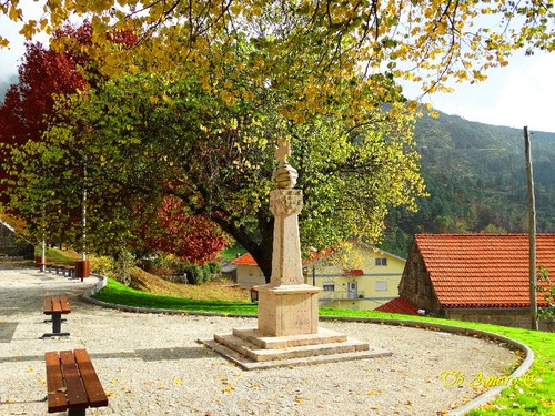 Fotos de Outono !!! 014.jpg