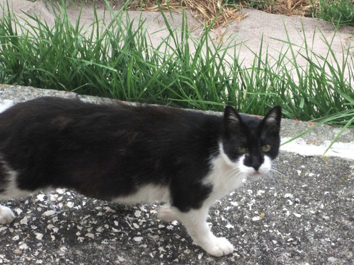 IMG_4065.JPG IMG_4065.JPG