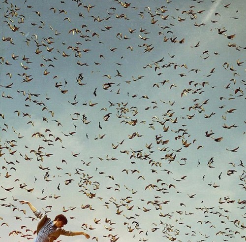 530075_386466028054548_127937003907453_1189219_195