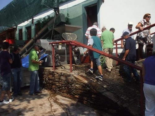 1º Passeio Clássico das Vindimas de Tabuaço (18