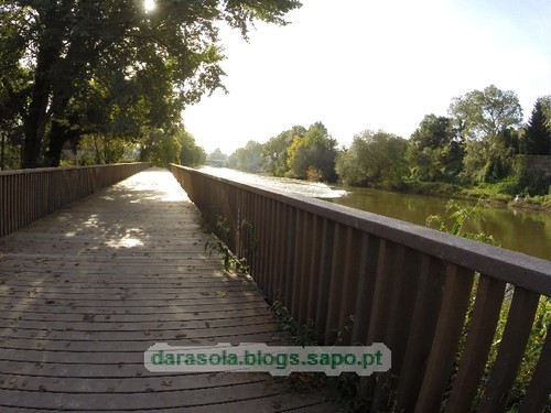 Margens rio Ave Trofa 02.JPG