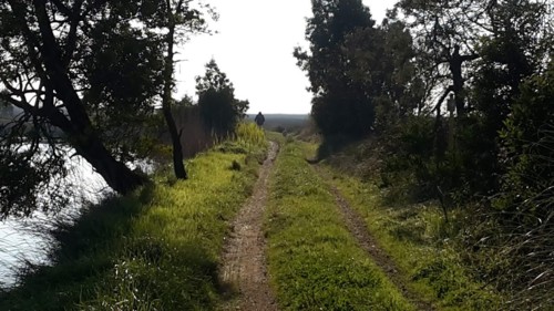 20190102_150823.jpg 20190102_150823.jpg