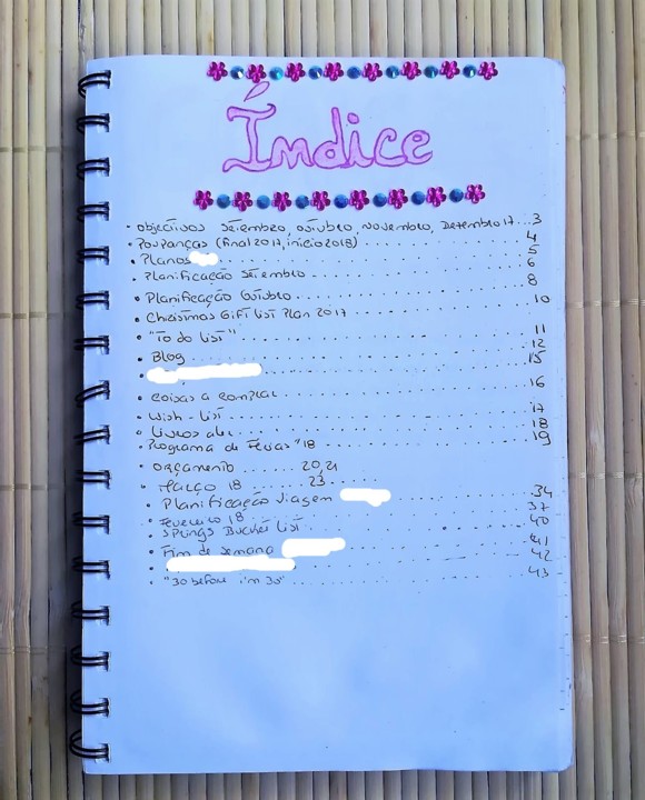 bullet journal 3.jpg