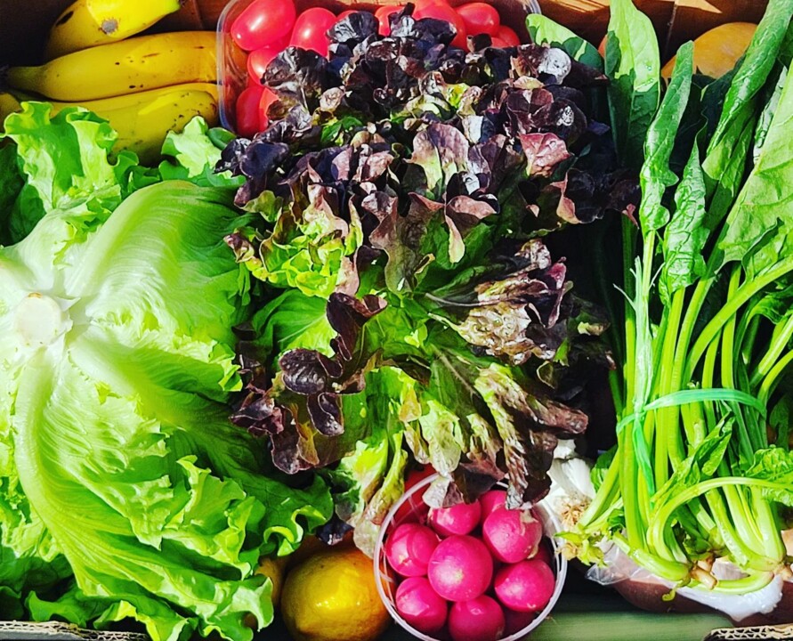 311584972_2437597933046620_7233349047316772322_n.j