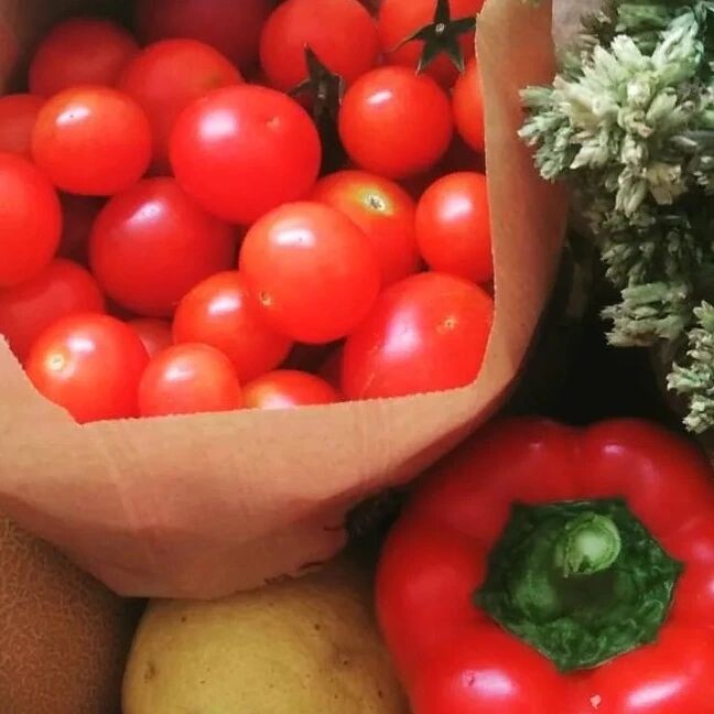 285798993_2325351757604572_2156702319193706537_n.j