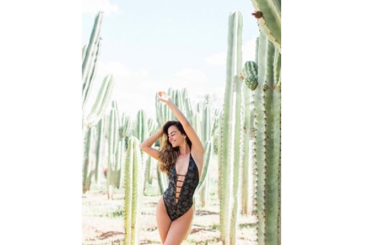 ntv8-2-741x486.jpg ntv8-2-741x486.jpg