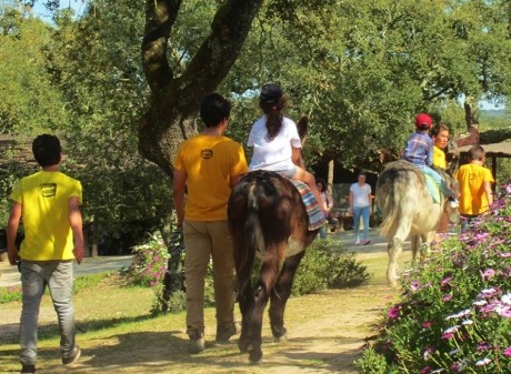 contacto-com-a-natureza-1455649708-cropped-medium_