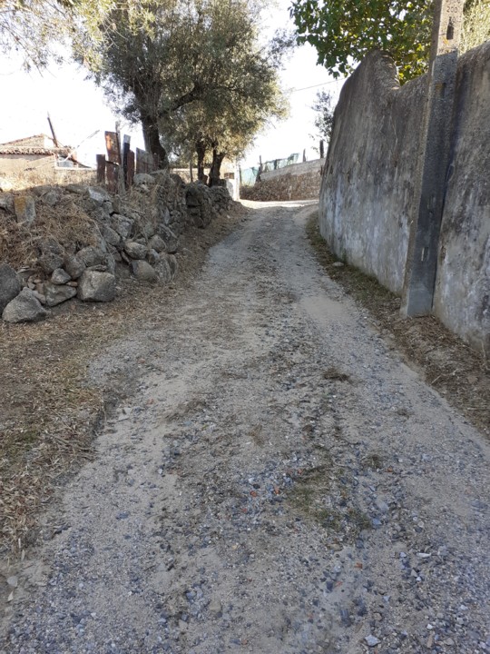 Azinhaga. Foto Original. 2021.09.20.jpg