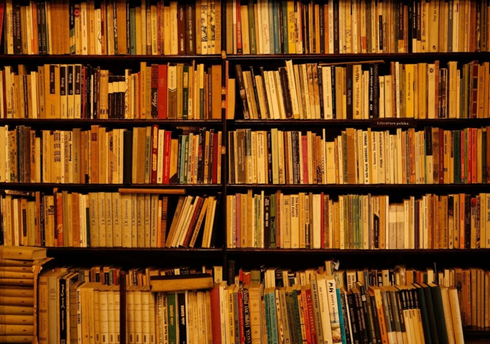 vlad-patana-rEiVsKrcvVE-unsplash-scaled-1024x720.j