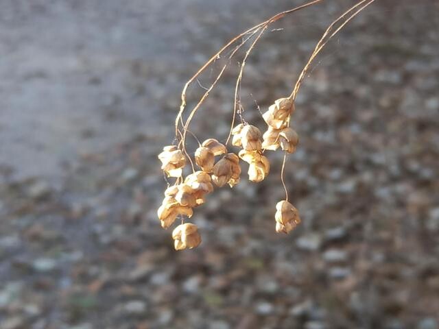 466964096_8687410838040811_698930160651829180_n.jp