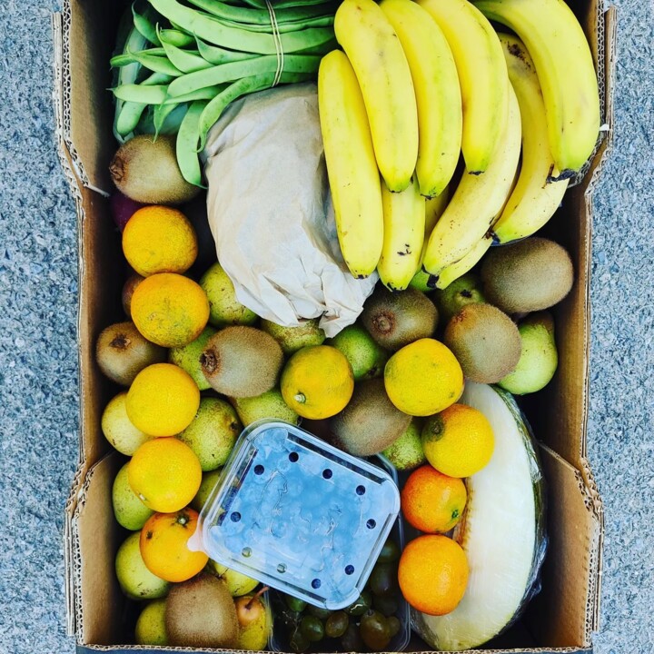 311999271_2441222386017508_8651802962287228879_n.j