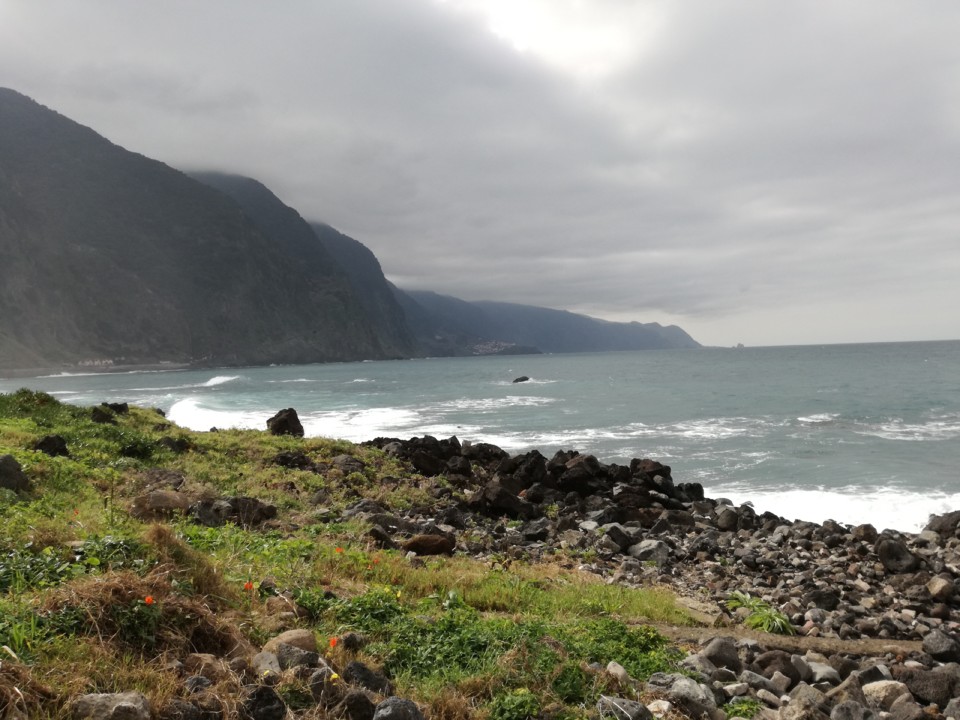 IMG_20200225_154527.jpg IMG_20200225_154527.jpg