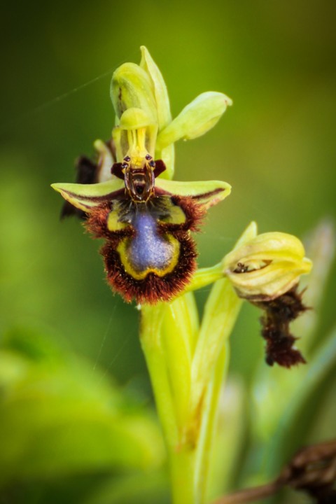 ponta da piedade a 10.jpg