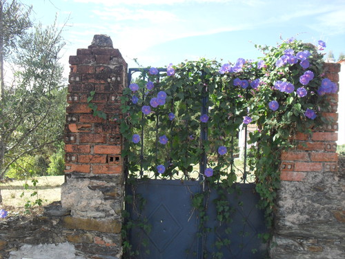 Água 9.JPG Água 9.JPG