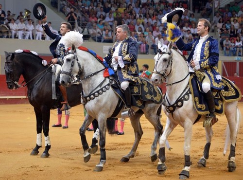 Corrida S. Pedro 2016-cortesias.jpg