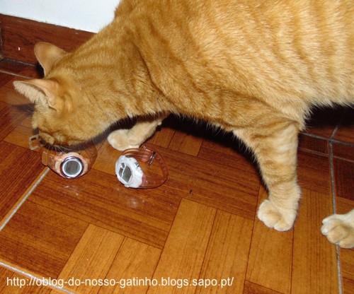 relogiosgato.JPG relogiosgato.JPG