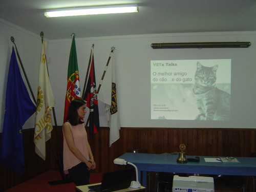 17 05 25 - A Prova dos Novos 7.JPG