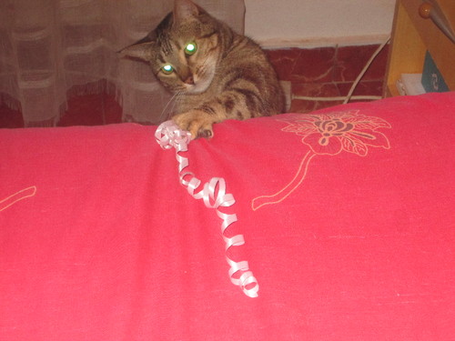 IMG_2111.JPG IMG_2111.JPG