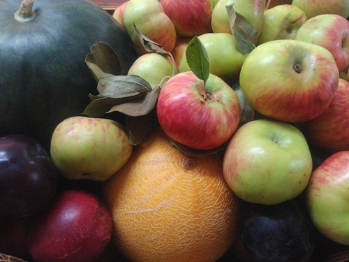 11707635_593770864096012_1324397605549076632_n.jpg 11707635_593770864096012_1324397605549076632_n.jpg