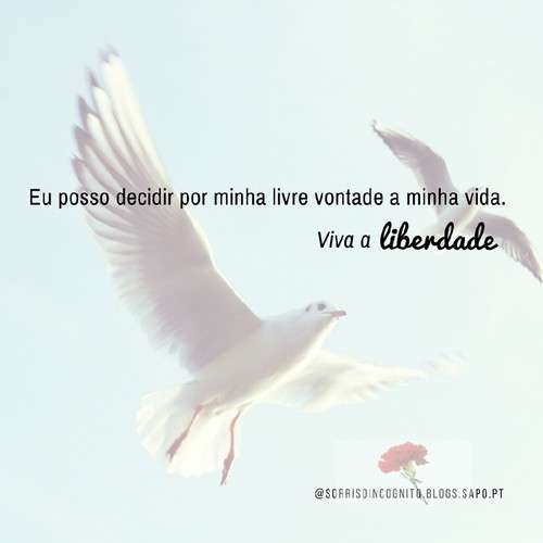 33. liberdade (1).jpg