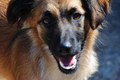 Esta sou eu, a Migas