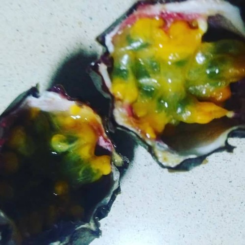 21731109_964212097051885_3261799290077904479_n.jpg 21731109_964212097051885_3261799290077904479_n.jpg