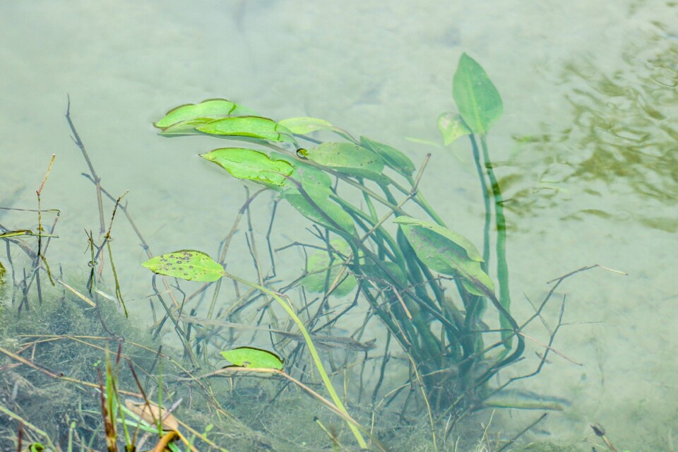 cascata da contradinha 6.jpg