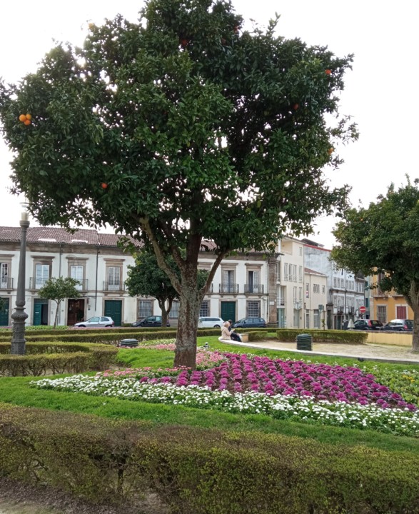 IMG_20210226_103433.jpg IMG_20210226_103433.jpg