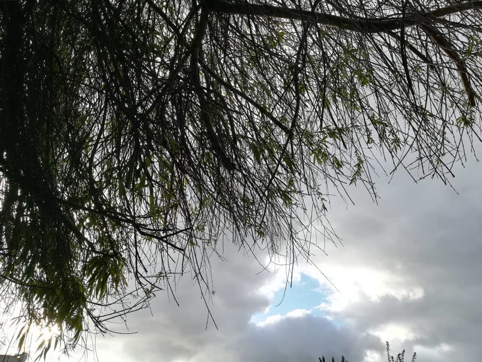 91502601_10157279921423565_4085344820048953344_o.j