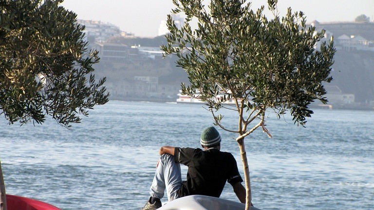 diante dos meus olhos.JPG diante dos meus olhos.JPG