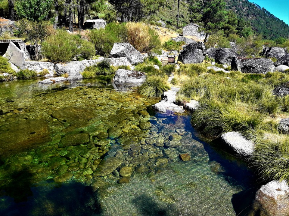 Água cristalina.jpg