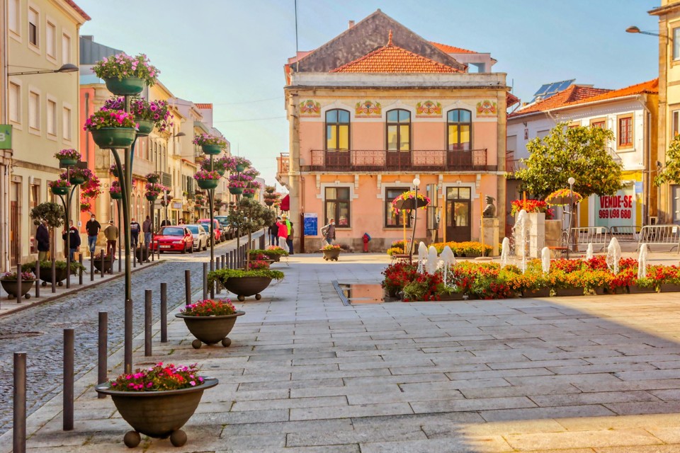 180832543_3871607892893711_7626394923600305499_n.j