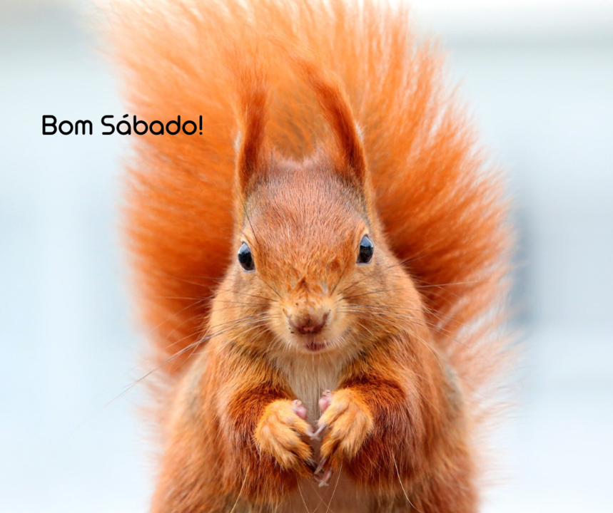 Texto do seu parágrafo (2).png