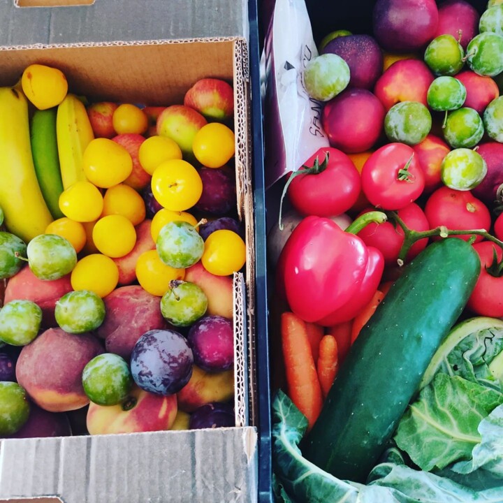 362657048_661839069306840_7374764988270431160_n.jp