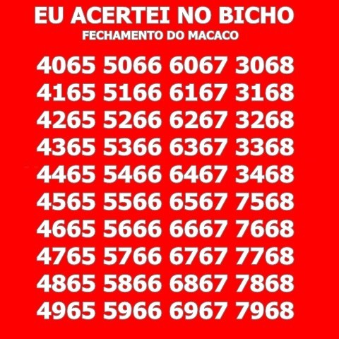 Qual é o número do macaco no jogo do bicho? Veja aqui!