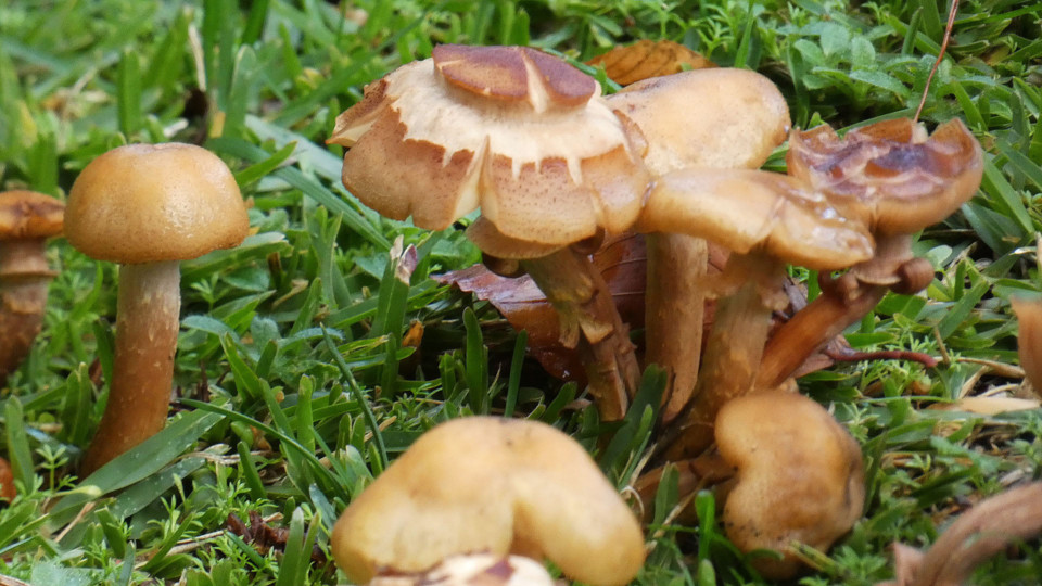 124376395_10218781112694005_5473895976410272454_o.