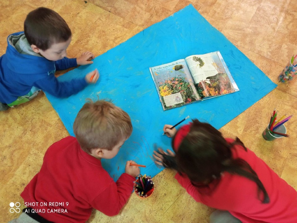 131893875_2815764121972948_1612837919615480385_n.j