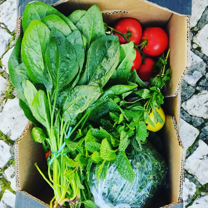 470222994_979657747524969_7656678216412743807_n.jp