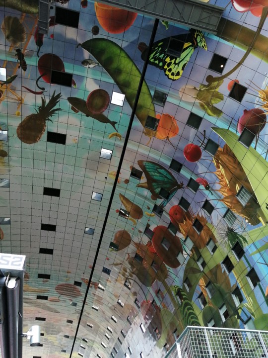 IMG_20200718_114330.jpg IMG_20200718_114330.jpg