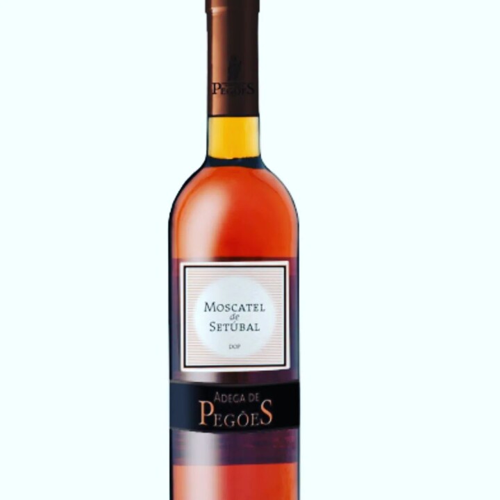 328337706_579002453812072_5657028386178750433_n.jp