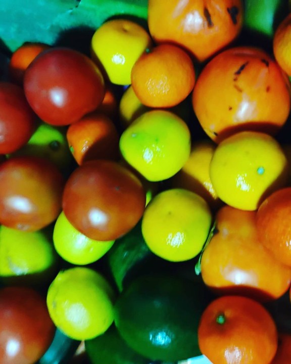 122716376_1851039098369176_6198439462256513189_o.j