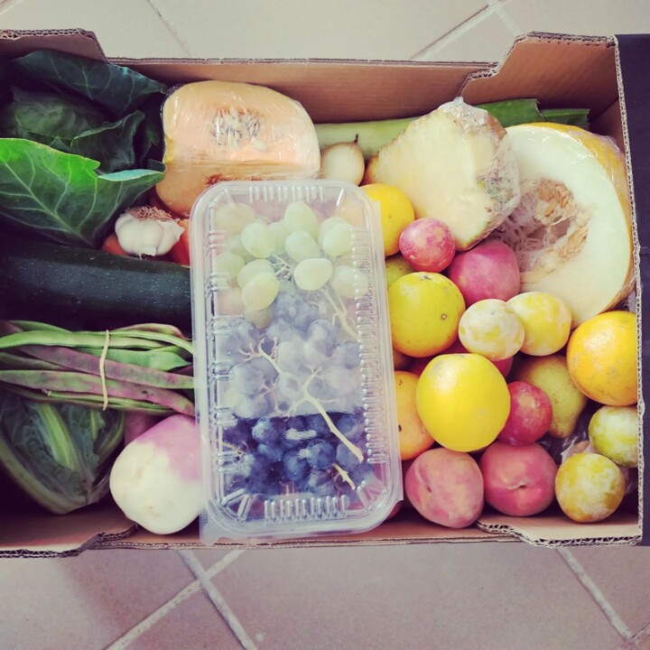 307557501_2411568365649577_557069615218038379_n.jp