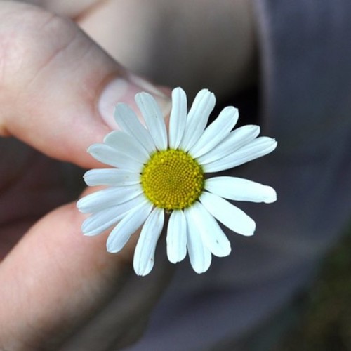 um-obrigado-cai-bem-570x570.jpg um-obrigado-cai-bem-570x570.jpg