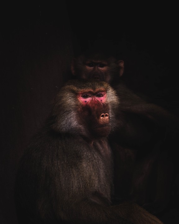 Tentativa e Erro, Roberto Gamito