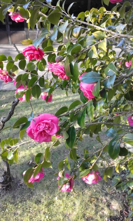 Foto Original. 2020. 01. jpg