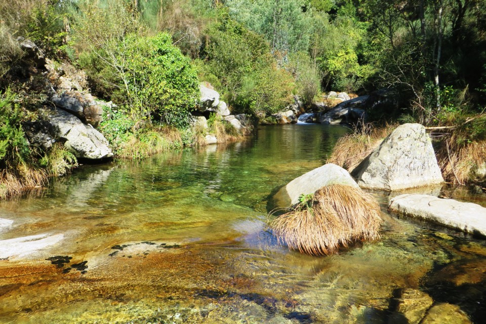 IMG_4746.JPG IMG_4746.JPG