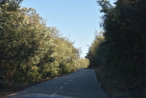 DSC_0630.JPG DSC_0630.JPG