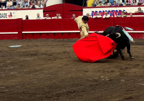 Ivan Fandiño, deambulando com a muleta...