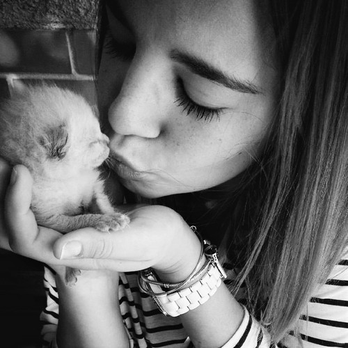 13124923_1551713045131266_7837704571079366880_n.jp