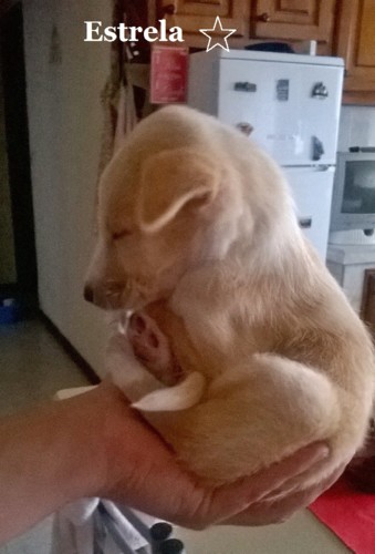 WP_20180507_005 2.jpg